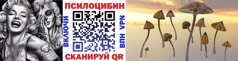 Псилоцибиновые грибы GOLDEN TEACHER  Купить закладки  Ярославль 