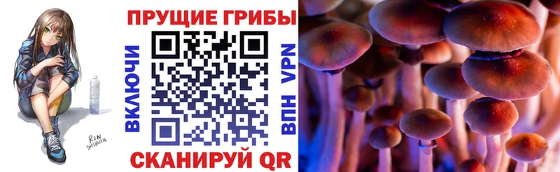 Псилоцибиновые грибы MAGIC MUSHROOMS Ярославль